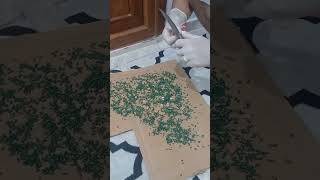 Lağım Faresinden Nasıl Kurtulunur