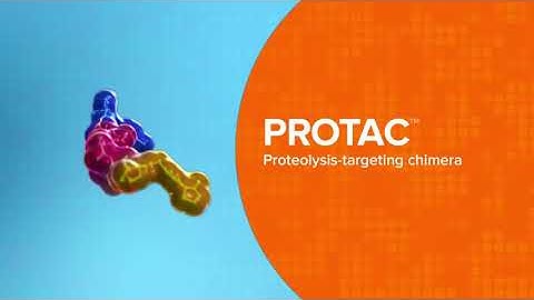 How it Works: Proteolysis Targeting Chimeras (PROTAC® degraders)