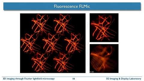 Lightfield Fourier microscopy by Prof. Genaro Saavedra (DOITPLENOPTIC & UV) at BISC 2021