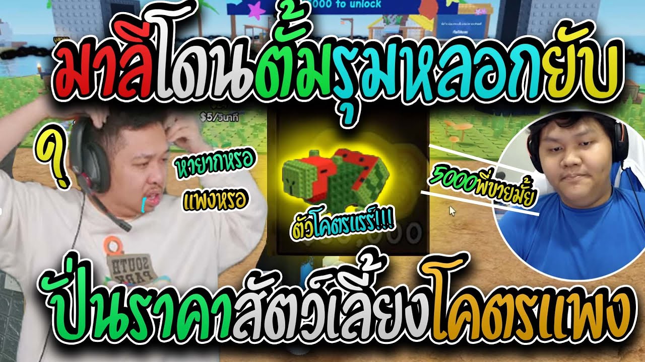 มาลี สวยมาก เมื่อมาลีโดนตั้มรุมหลอกปั่นราคาสัตว์ให้โคตรแพงจนมาลีงอมแทบร้องไห้ I Build a Zoo Roblox