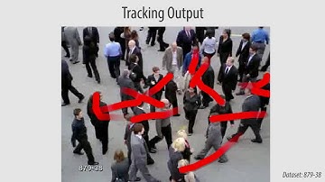 Realtime Pedestrian Behavior Learning for Path Prediction and Navigation