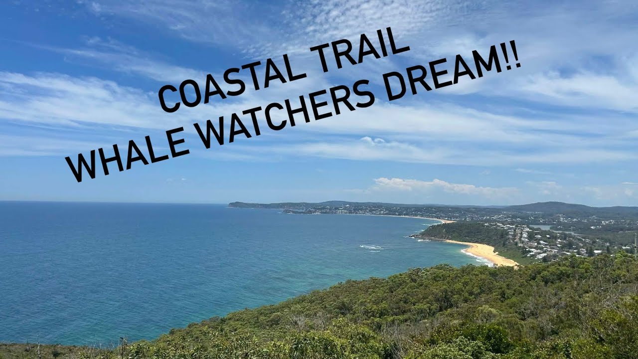 Hidden Gem!! Coast walking track (Crackneck Lookout)