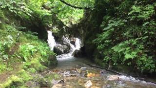 Trabzon Uzungöl Berrak Su Kaynağı Muhteşem Manzara