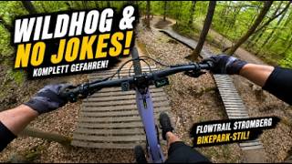 Flowtrail Stromberg: Wildhog &amp; No Jokes komplett! Einfach nur MEGA - Santa Cruz Bullit CC