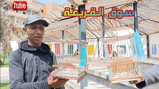 سوق القريعة ليوم السبت 18/04/2026 أثمنة الطيور المغردة 🐦‍🔥 وخاصة المقنين 👌👍❤️
