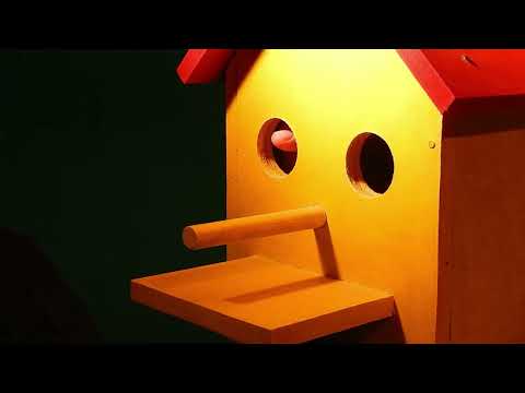 Rapid Eye Movement trailer thumbnail