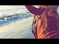 أنشودة الله يعلم حاجتي ومكاني ل عبدالله المهداوي الله يسكنه فسيح جناته Tig 45er 