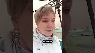 Пептидный коллаген - это ключ к  нашей  молодости! #memes #video #NL