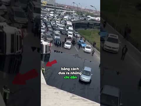 Cái kết đắng