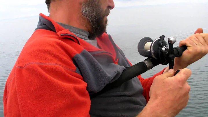 paddys monster conger eel