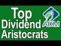 ADM Stock Analysis - Archer Daniels Midland Dividend Stock Analysis - Top Dividend Aristocrat Stocks