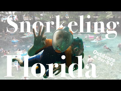 Vidéo: Meilleurs sites de plongée en Floride