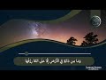 سورة هود القارئ عبد الولي الاركاني