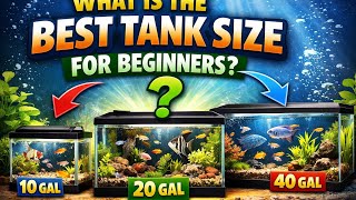 What is the best tank size for a beginner Details