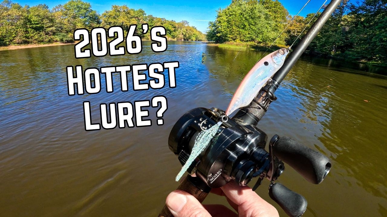 The TRUTH About the NEW Megabass Karashi 80
