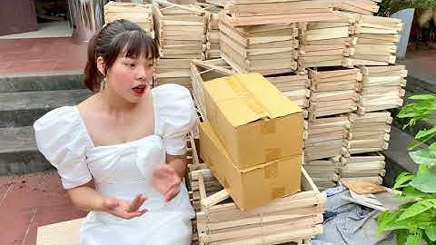 Cầu nuôi ong mật nội, chân tầng nuôi ong nội miền bắc mua ở đâu 0965416225