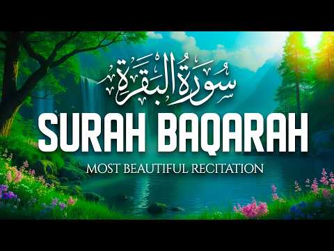 Surah Al-Baqarah (سورة البقره) | Calm & Powerful Quran Recitation for Daily Listening | Alaa Aqel