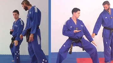 Tae Kwon Do - Double Knife Hand Low Block