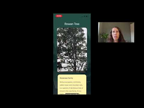 PocketForest Demo Video | Northcoders Project Presentations