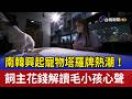 南韓興起寵物塔羅牌熱潮！ 飼主花錢解讀毛小孩心聲