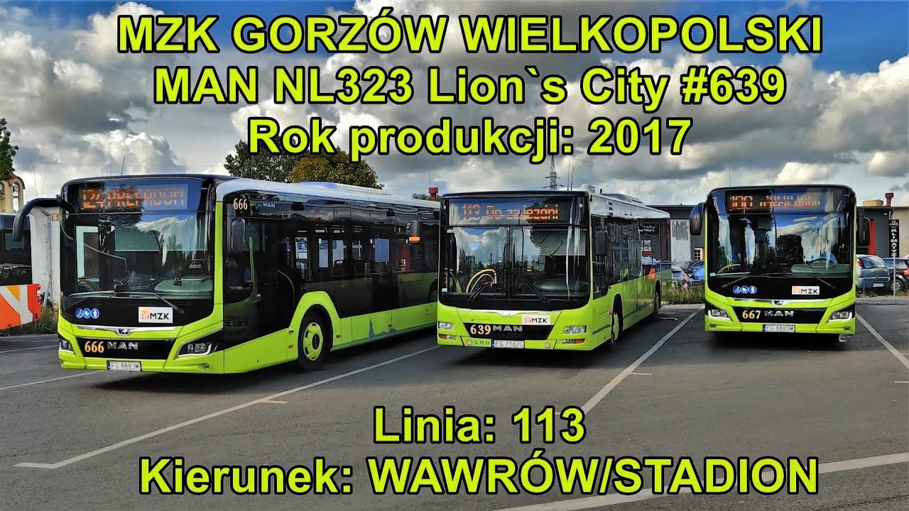 MZK Gorzów Wielkopolski - Linia 113, MAN NL323 Lion's City 