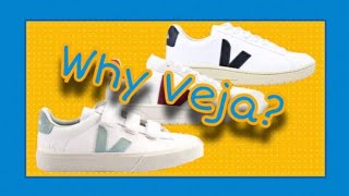 Why Celebrities wear Veja Shoes?