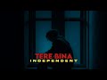 Tere Bina | Independent Core | Official Audio