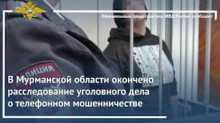 Ирина Волк: В Мурманской области окончено расследование уголовного дела о телефонном мошенничестве