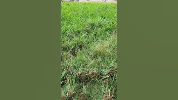 سورة البقرة آية ٧٧