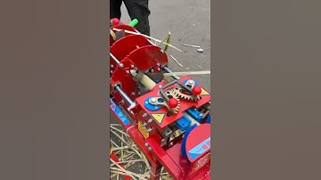 Sophisticated Machine Sugar Cane Peelers #shorts