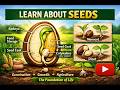 What is Seed? | Types, Structure & Importance of Seeds in Agriculture 🌱