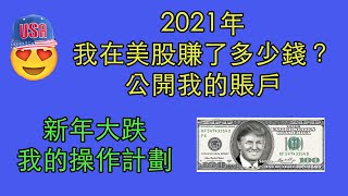 56，2021年我在美股賺了多少錢？公開我的賬戶；新年大跌，我的操作計劃