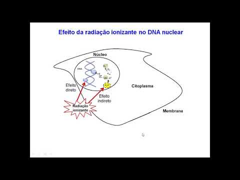 Aula 5 - Teoria do Envelhecimento por Ação de Radicais Livres - Parte 1