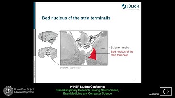 Student Session IV: Andrea Brandstetter - Cytoarchitectonic mapping and high-resolution (...)