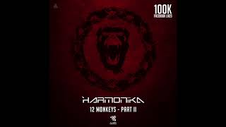 Video thumbnail of "Harmonika - 12 Monkeys Part II (Original Mix)"
