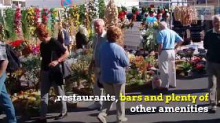 What You Need to Know About Torrox