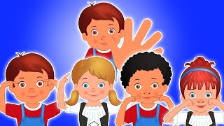 CABEÇA, OMBRO, JOELHO E PÉ | Música Infantil | Head, Shoulder, Knees and Toes | Kids Song