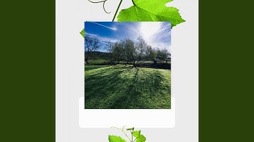 Scintillating Moods for Lazy Days