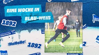 HaHoHe - Eine Woche in Blau-Weiß | 24. Spieltag | SC Freiburg vs. Hertha BSC