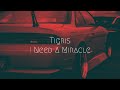 Tigris - I Need A Miracle | Extended Remix