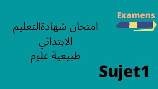 امتحان شهادة التعليم الأساسي لغة عربية