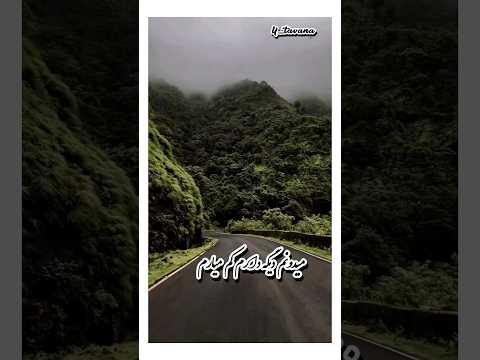 یکی نیست که بگه دلتنگیامو کجای این دلم باید بذارم