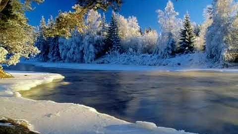 صلاة الجمعة لفضيلة الشيخ حسين يسعد تلاوة طيبة