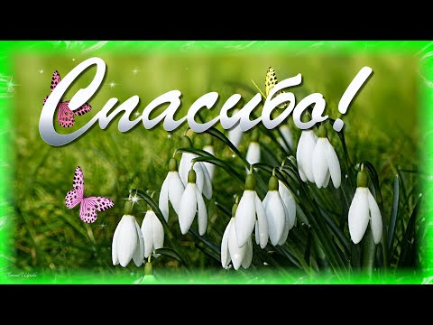 Хочу сказать спасибо всем друзьям. Спасибо за поздравление.