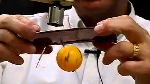 Rick Crosslin Science Magnets & The Flying Paper Clip