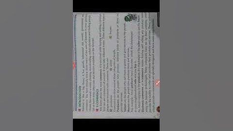 Ch-7: More on Internet