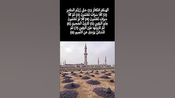 🌴🌴🌴 سورة التكاثر 🌴🌴🌴 #اكسبلور #المصحف #تيك_توك #الرحمن #دويتو #البرزخ #حالات_واتس #لايك #العظماء
