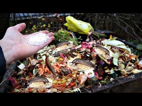 Видео: Борьба с вредителями в компосте: как уберечь животных от компостной кучи