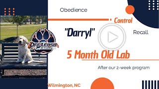 Wilmington Dog Trainers - Darryl Two Week Board & Train by Off Leash K9 Training of the South 10 views 11 hours ago 9 minutes, 33 seconds