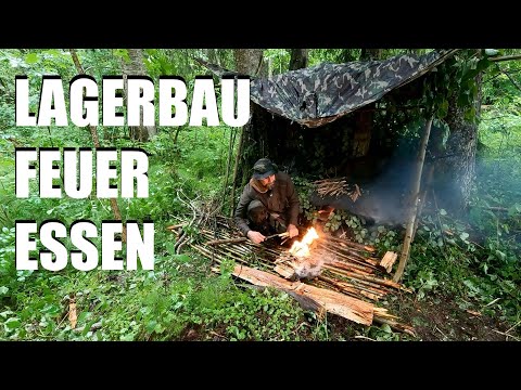Ein regnerischer Tag allein im Wald | Naturgeräusche & Entspannung